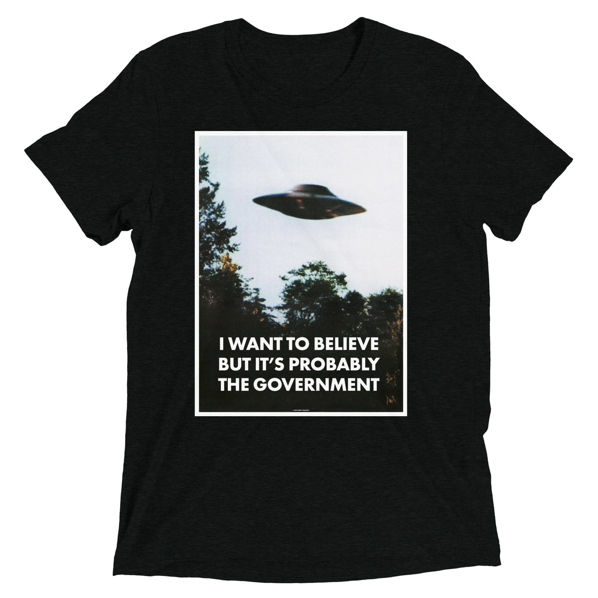 I Want To Believe But It&#39;s Probably the Government Tri-blend T-shirt