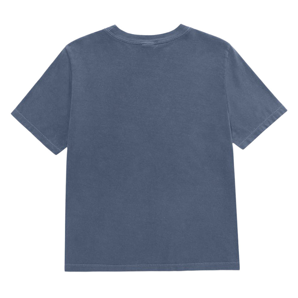 A short-sleeve crewneck t-shirt shown from the back, featuring a washed slate blue color, laid flat against a solid white background.