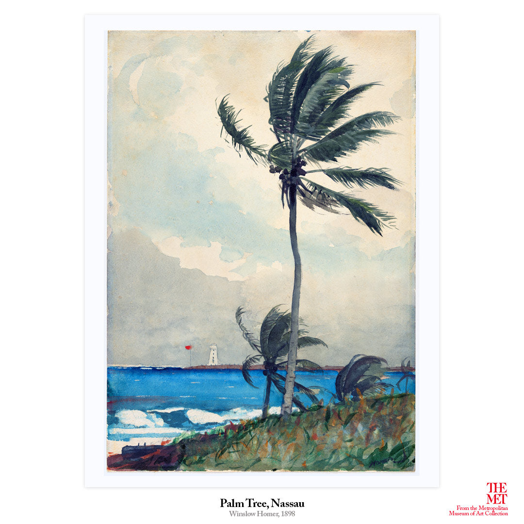 Palm Tree in Nassau Winslow Homer Art Print