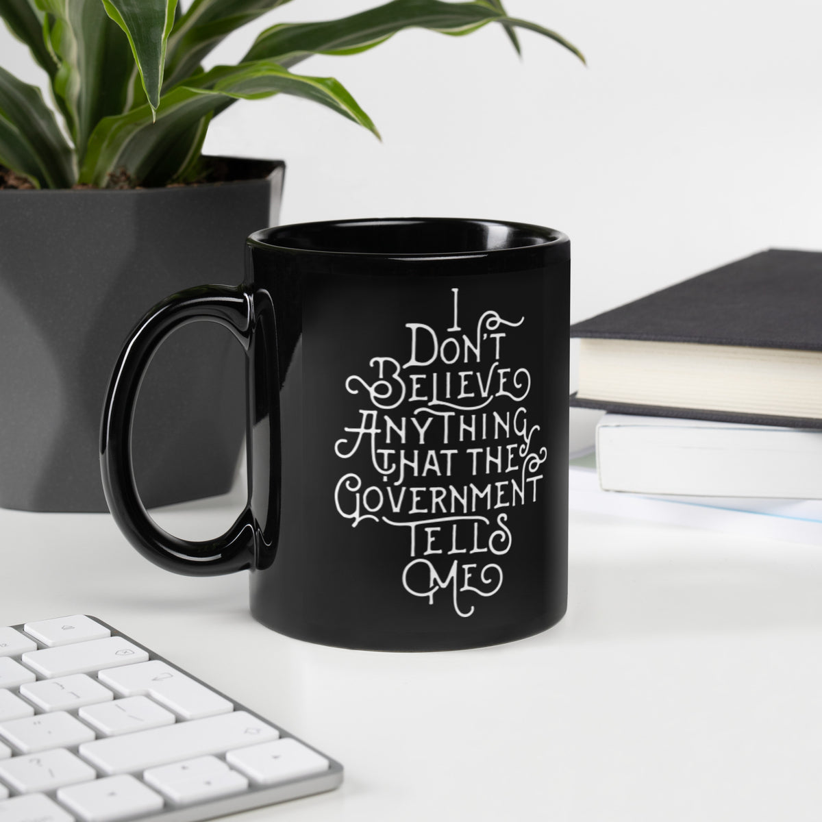 I don&#39;t Believe Anything the Government Tells Me Mug
