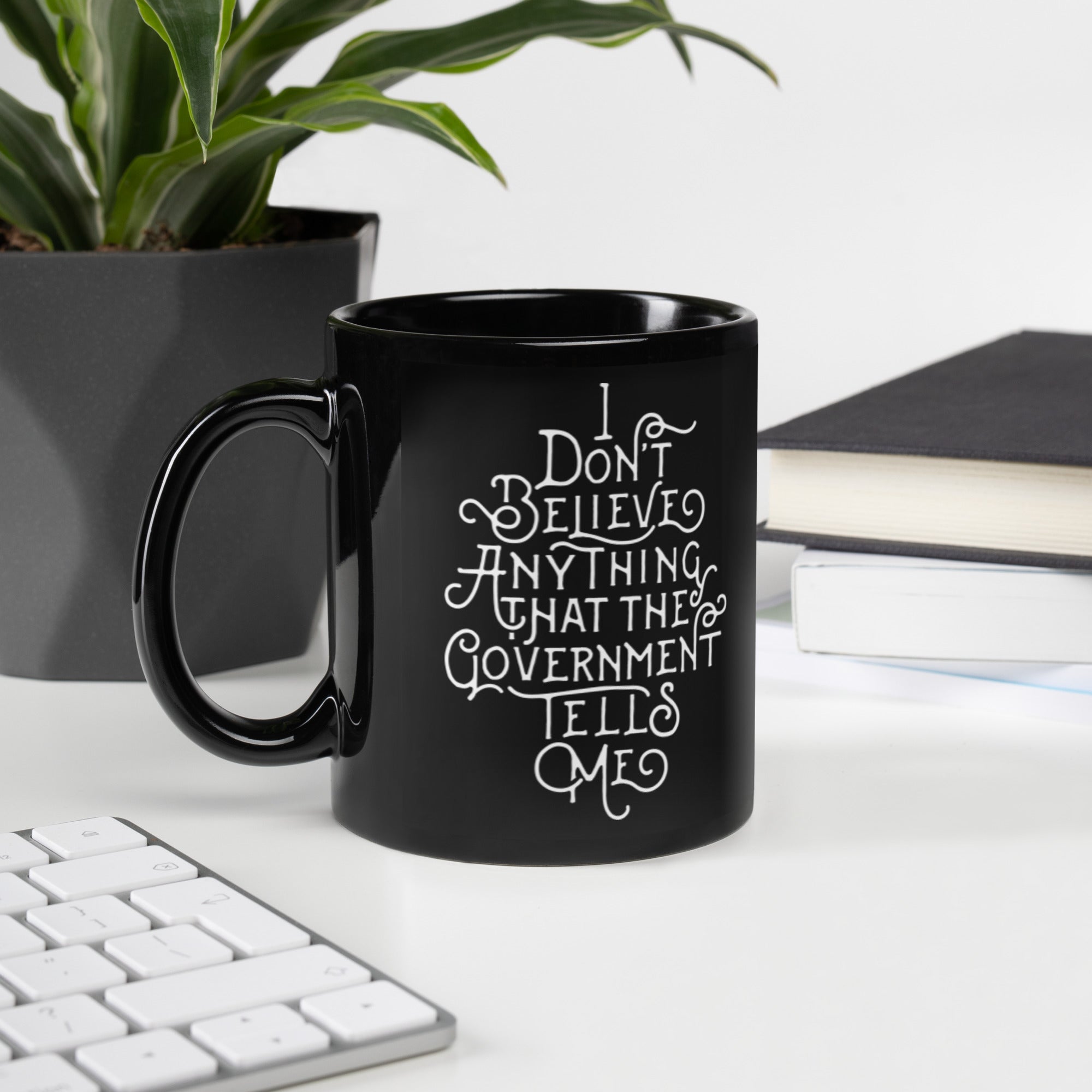 I don't Believe Anything the Government Tells Me Mug