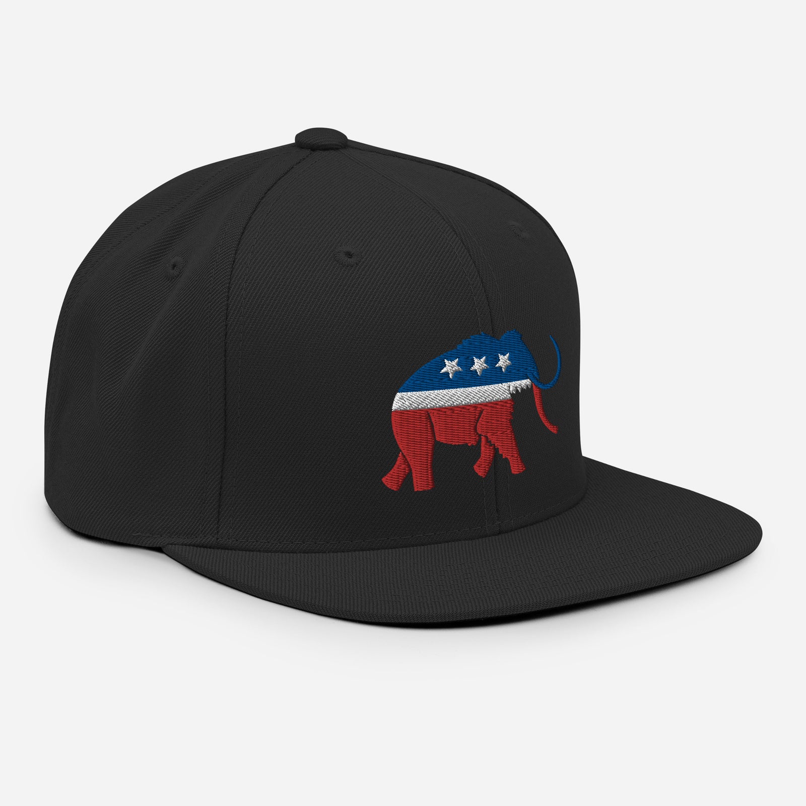 Paleoconservative Snapback Hat