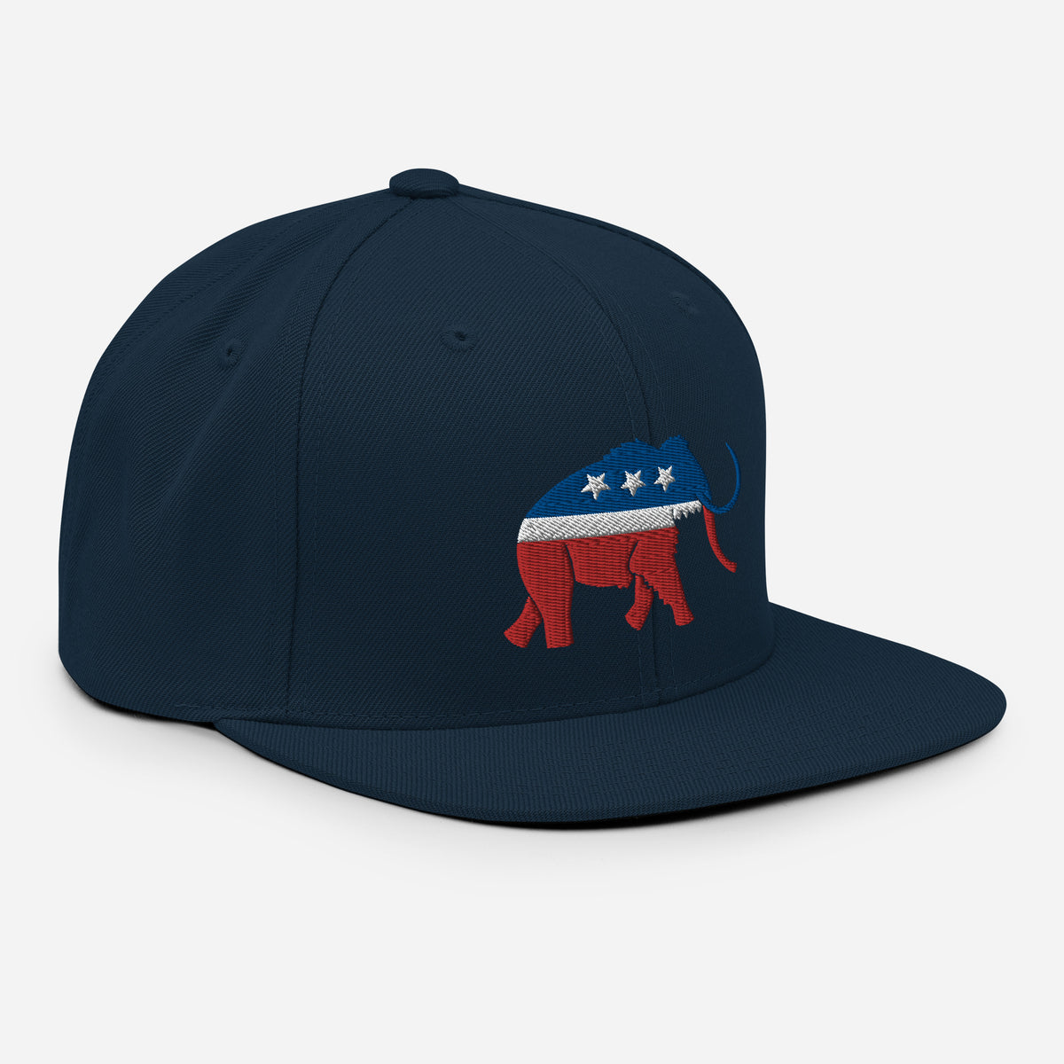 Paleoconservative Snapback Hat