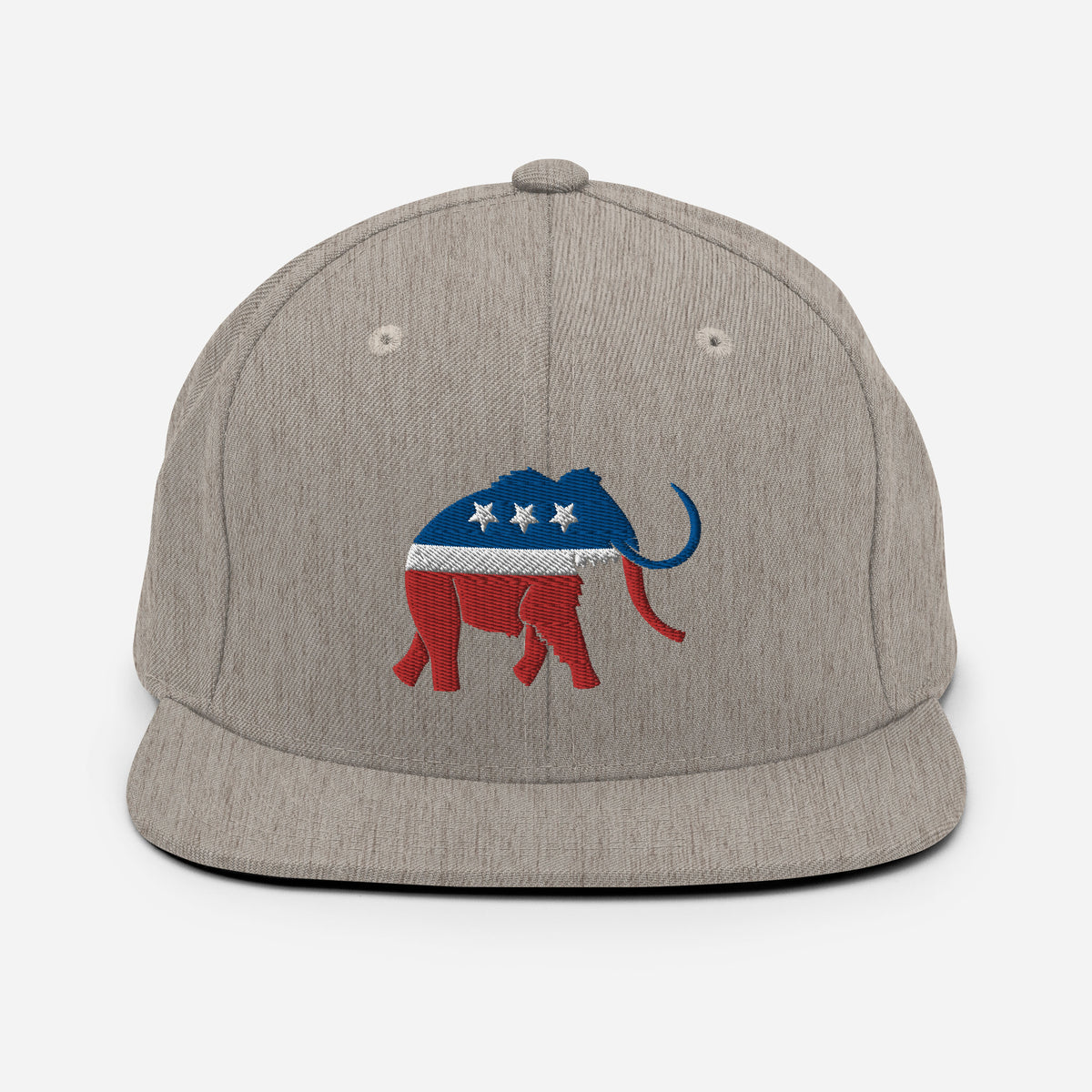 Paleoconservative Snapback Hat