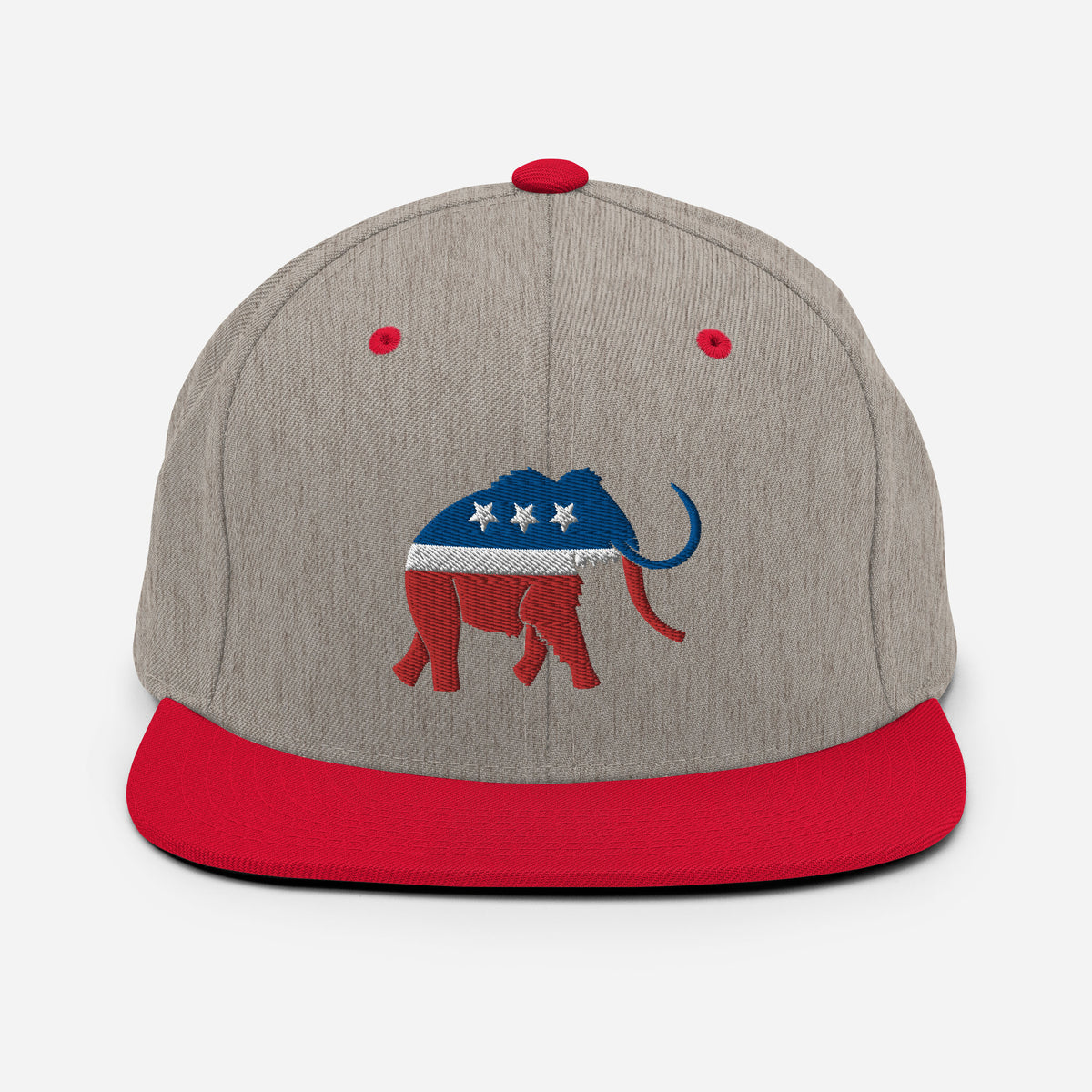 Paleoconservative Snapback Hat