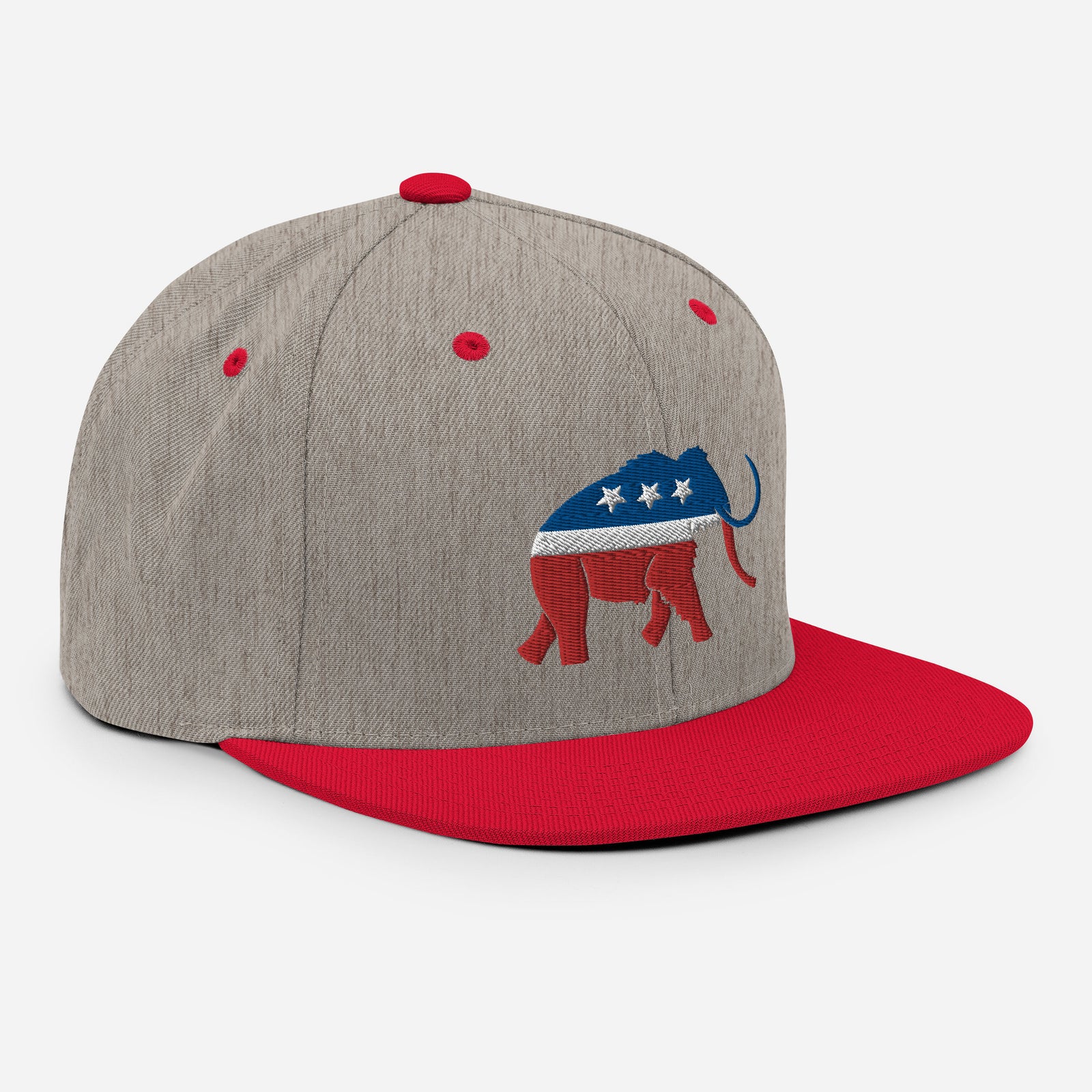 Paleoconservative Snapback Hat