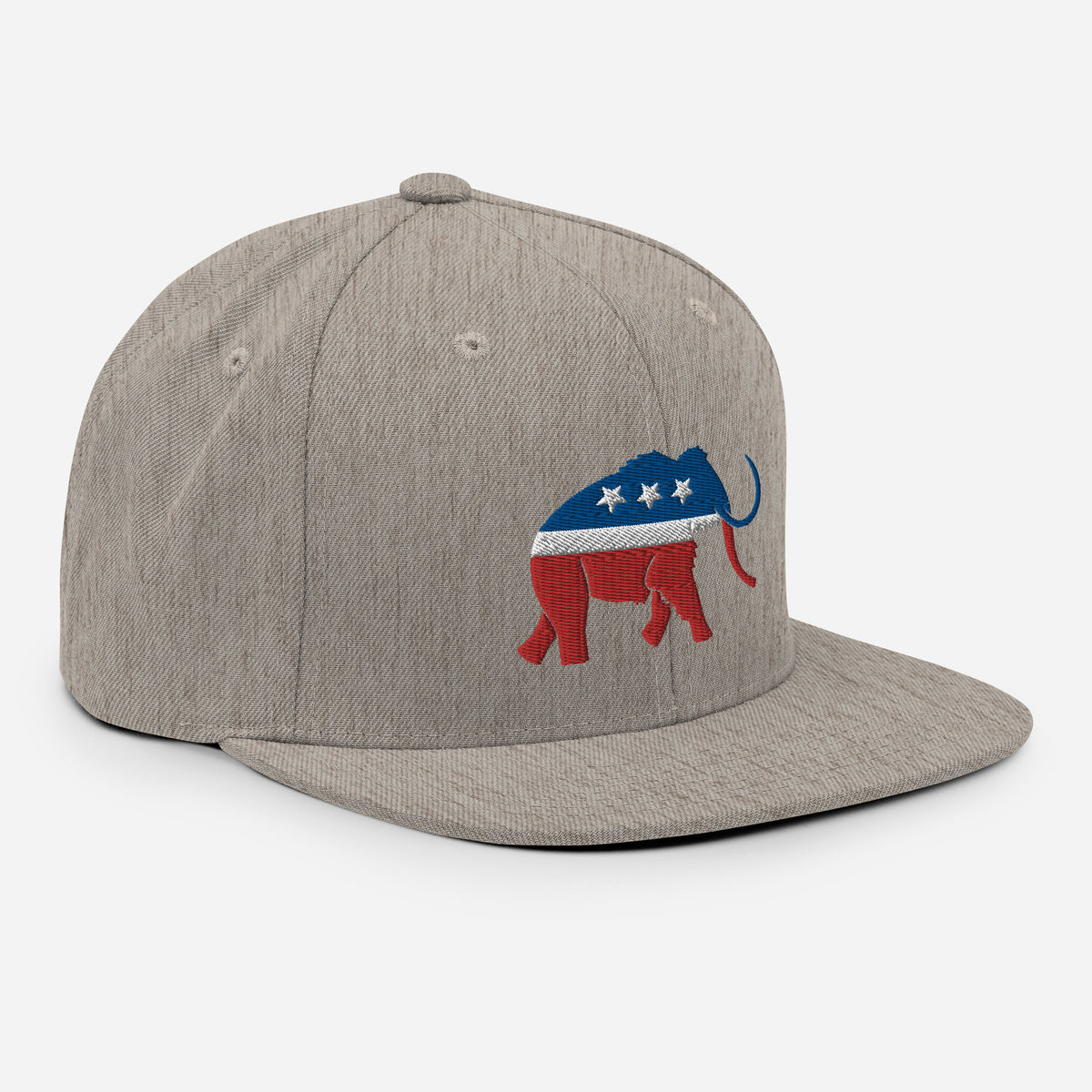 Paleoconservative Snapback Hat