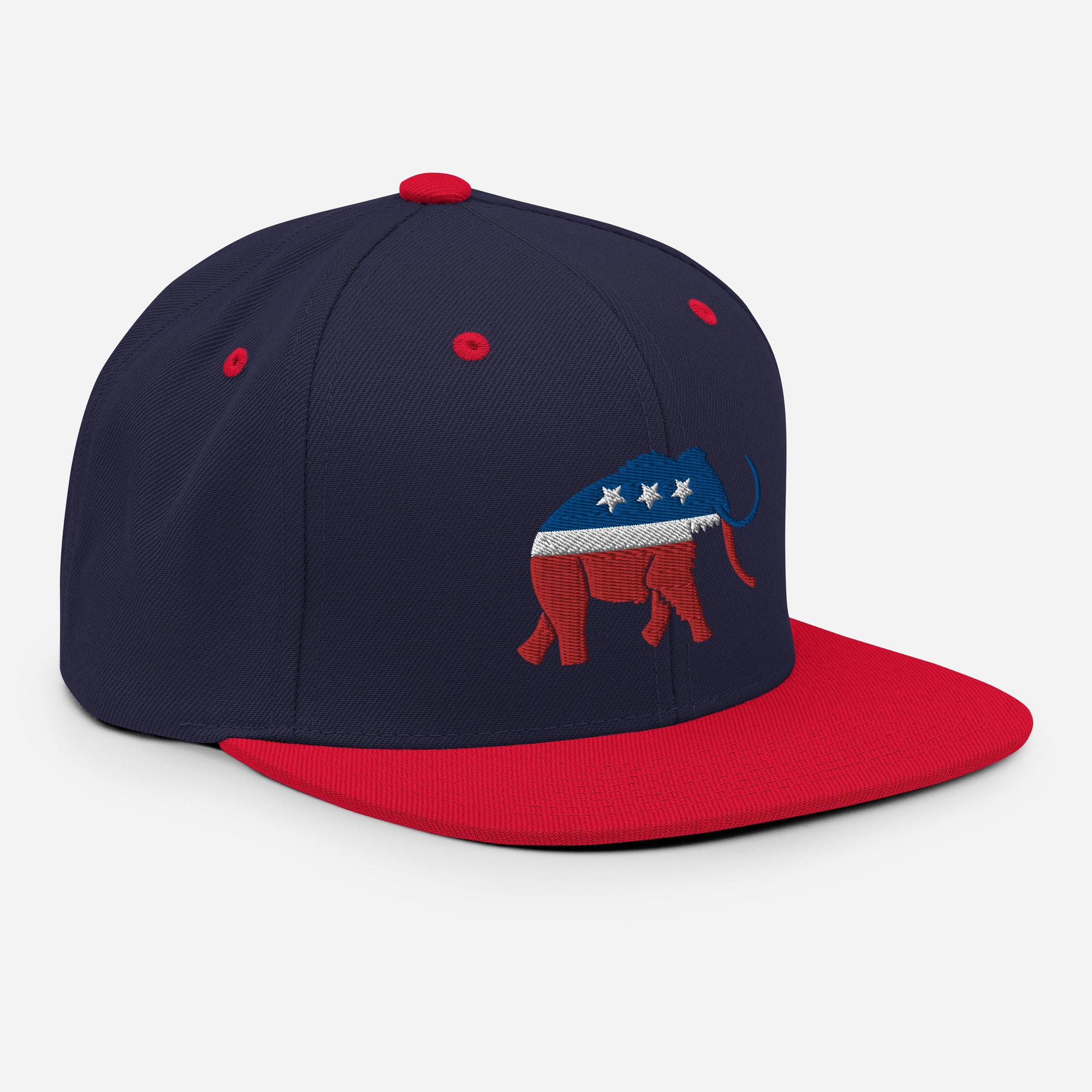 Paleoconservative Snapback Hat