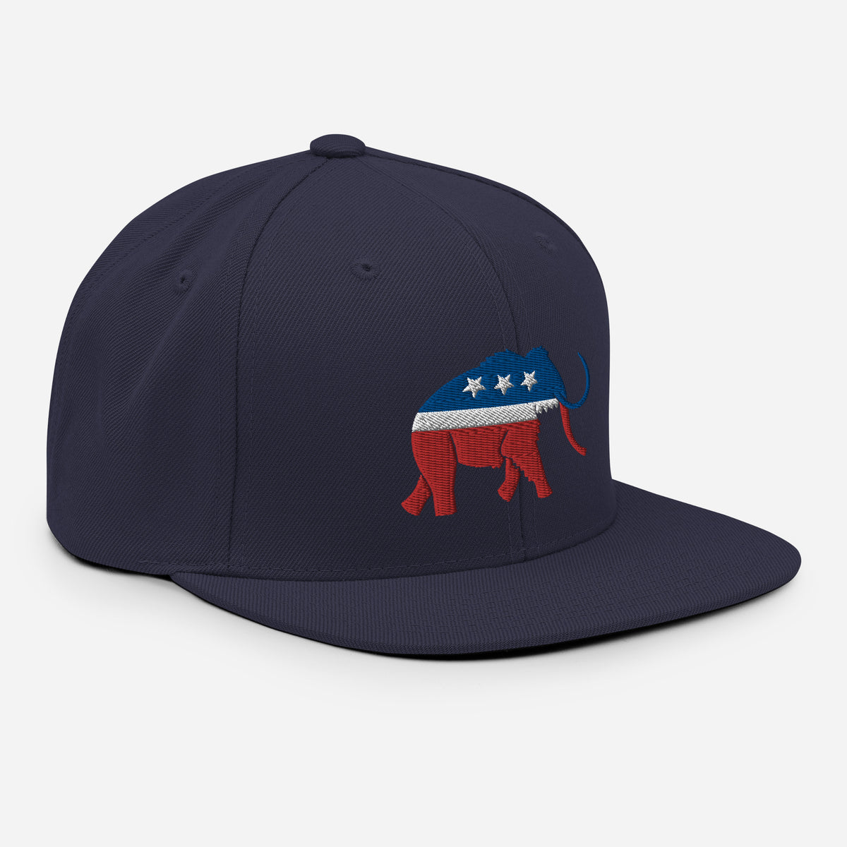 Paleoconservative Snapback Hat
