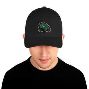 Gay Frogs Flexfit Structured Twill Fitted Cap