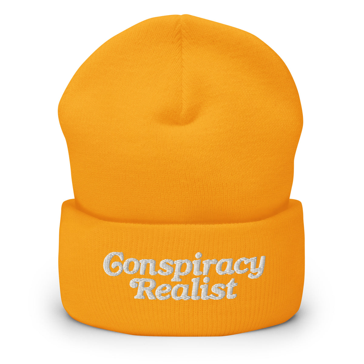 Conspiracy Realist Embroidered Cuffed Beanie