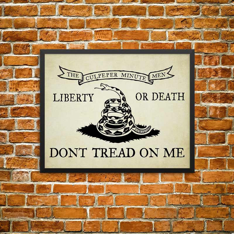 Bandiera di Gadsden: 3x5 in nylon, Don't Tread on Me Bandiera di Gadsden: 3x5 in nylon, Don't Tread on Me