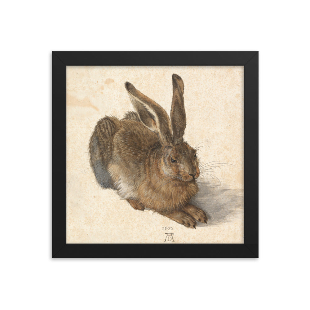 A Young Hare by Albrecht Durer Framed Print