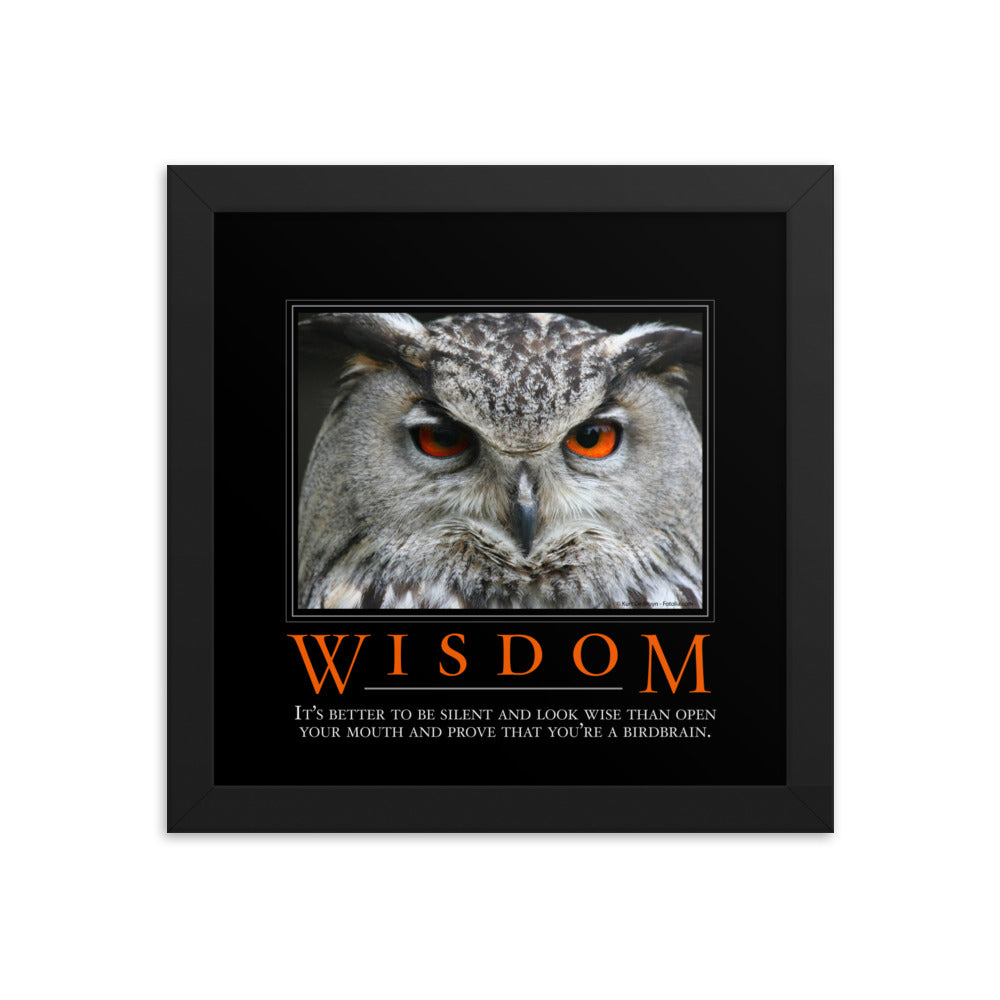 Wisdom Demotivational Framed Print