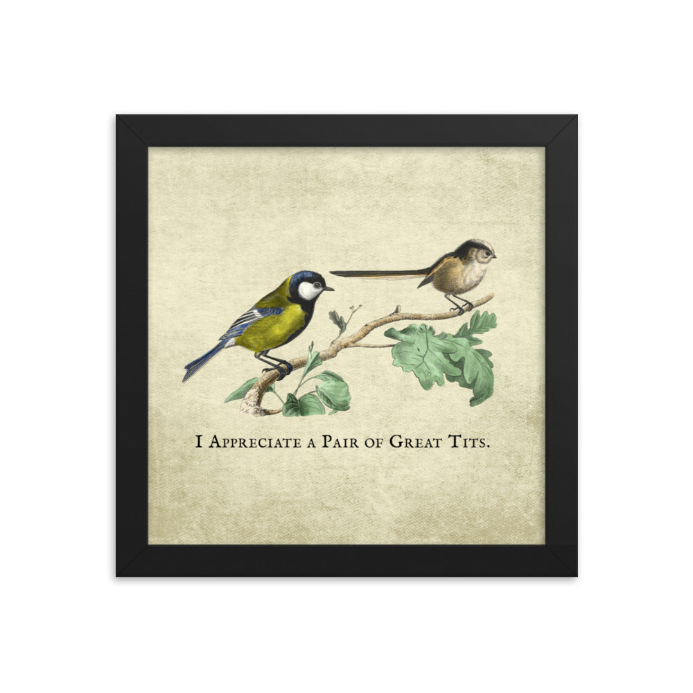 Great Pair of Tits Framed Print