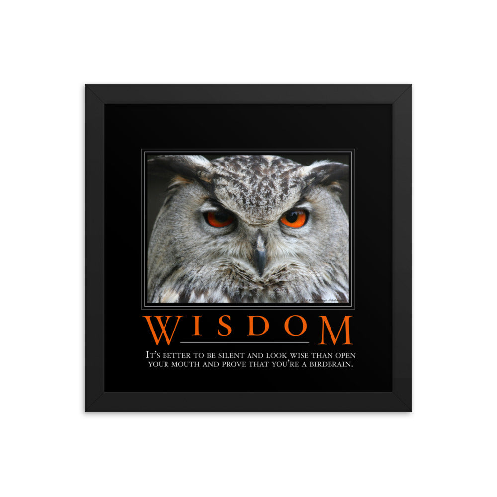 Wisdom Demotivational Framed Print