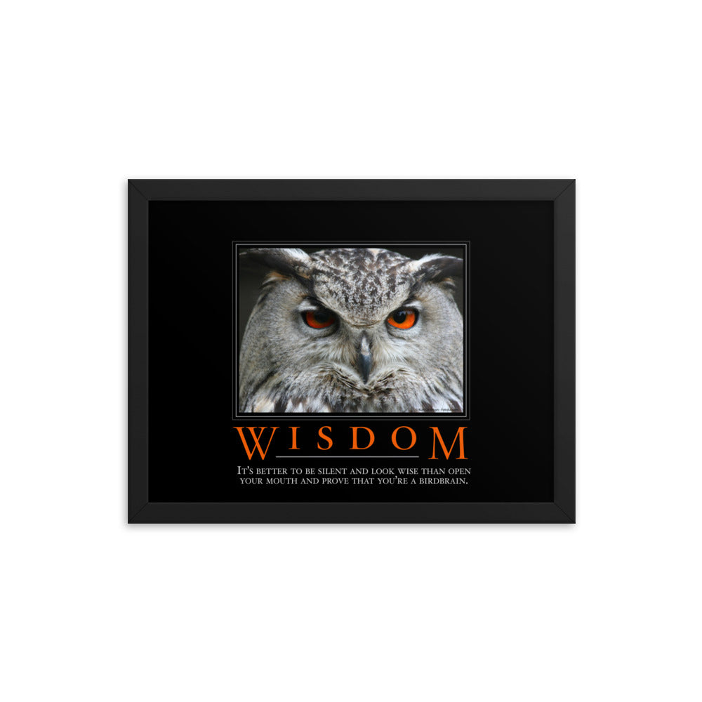Wisdom Demotivational Framed Print