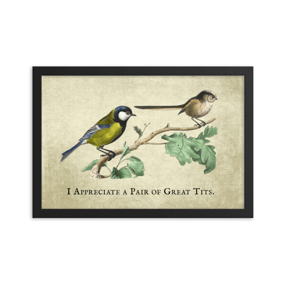 Great Pair of Tits Framed Print