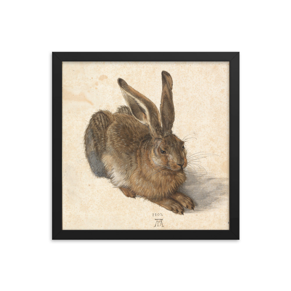 A Young Hare by Albrecht Durer Framed Print