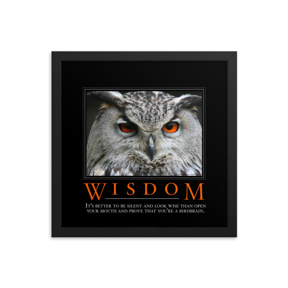 Wisdom Demotivational Framed Print
