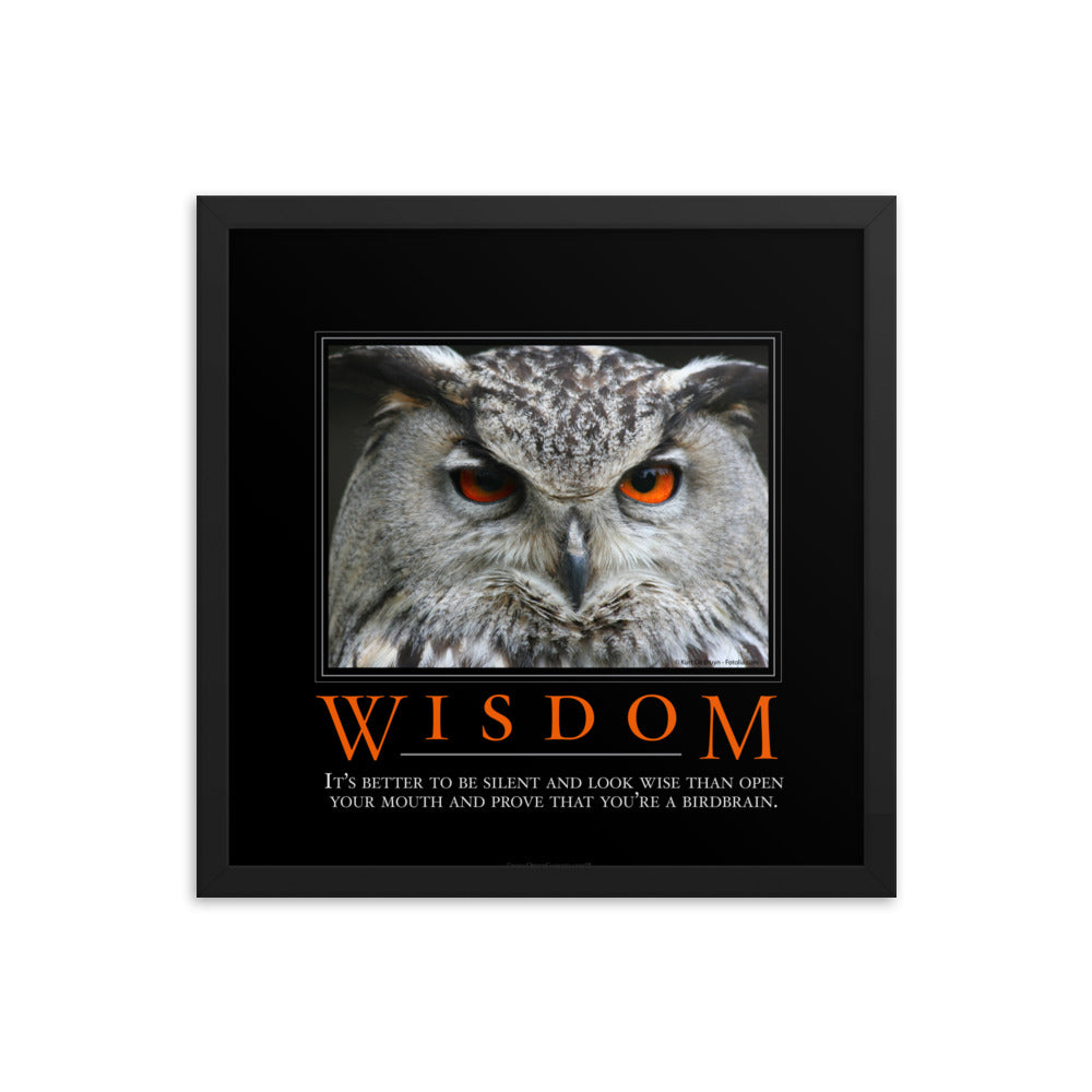 Wisdom Demotivational Framed Print