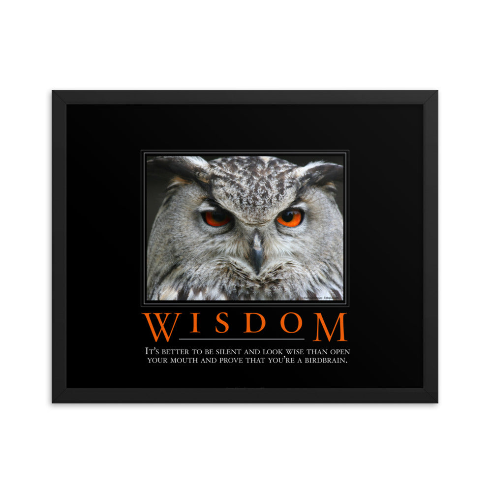 Wisdom Demotivational Framed Print