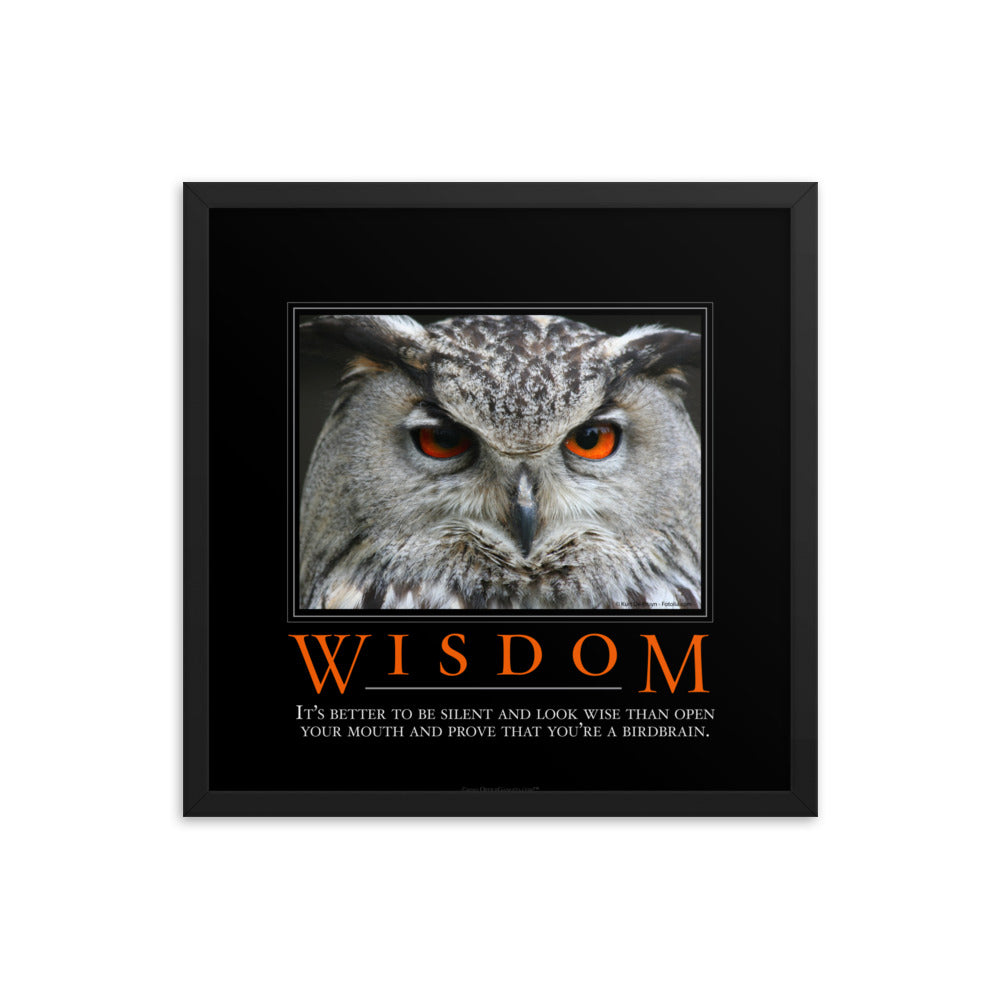 Wisdom Demotivational Framed Print