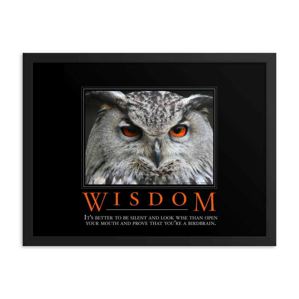 Wisdom Demotivational Framed Print