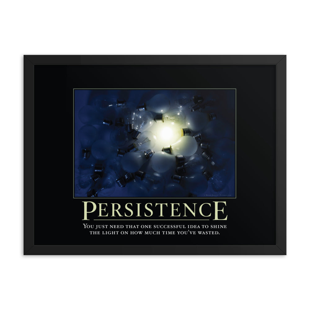 Persistence Demotivational Framed Print
