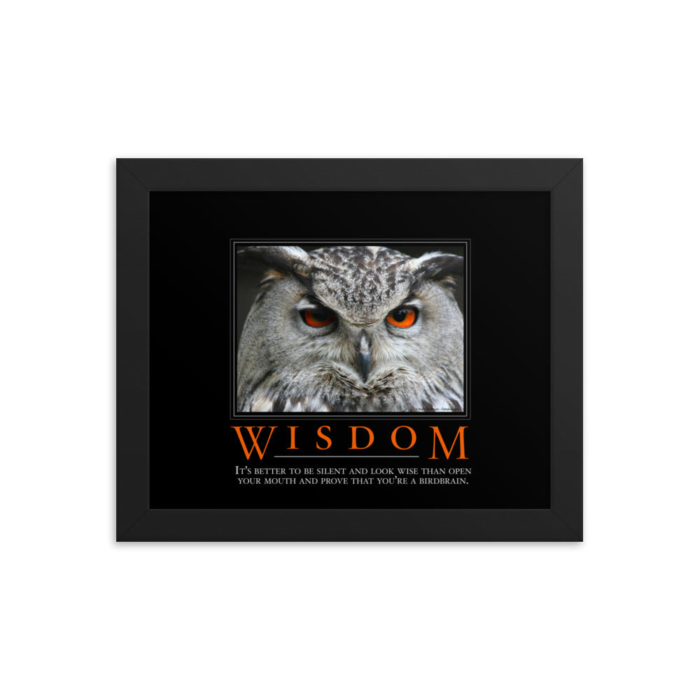 Wisdom Demotivational Framed Print