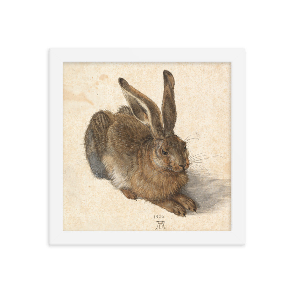 A Young Hare by Albrecht Durer Framed Print