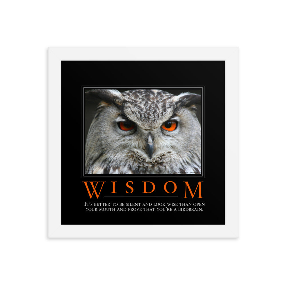 Wisdom Demotivational Framed Print