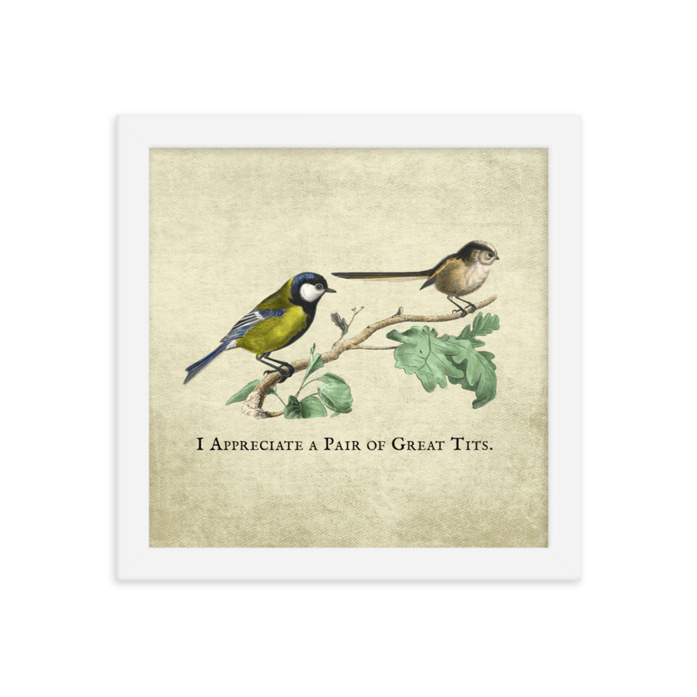 Great Pair of Tits Framed Print