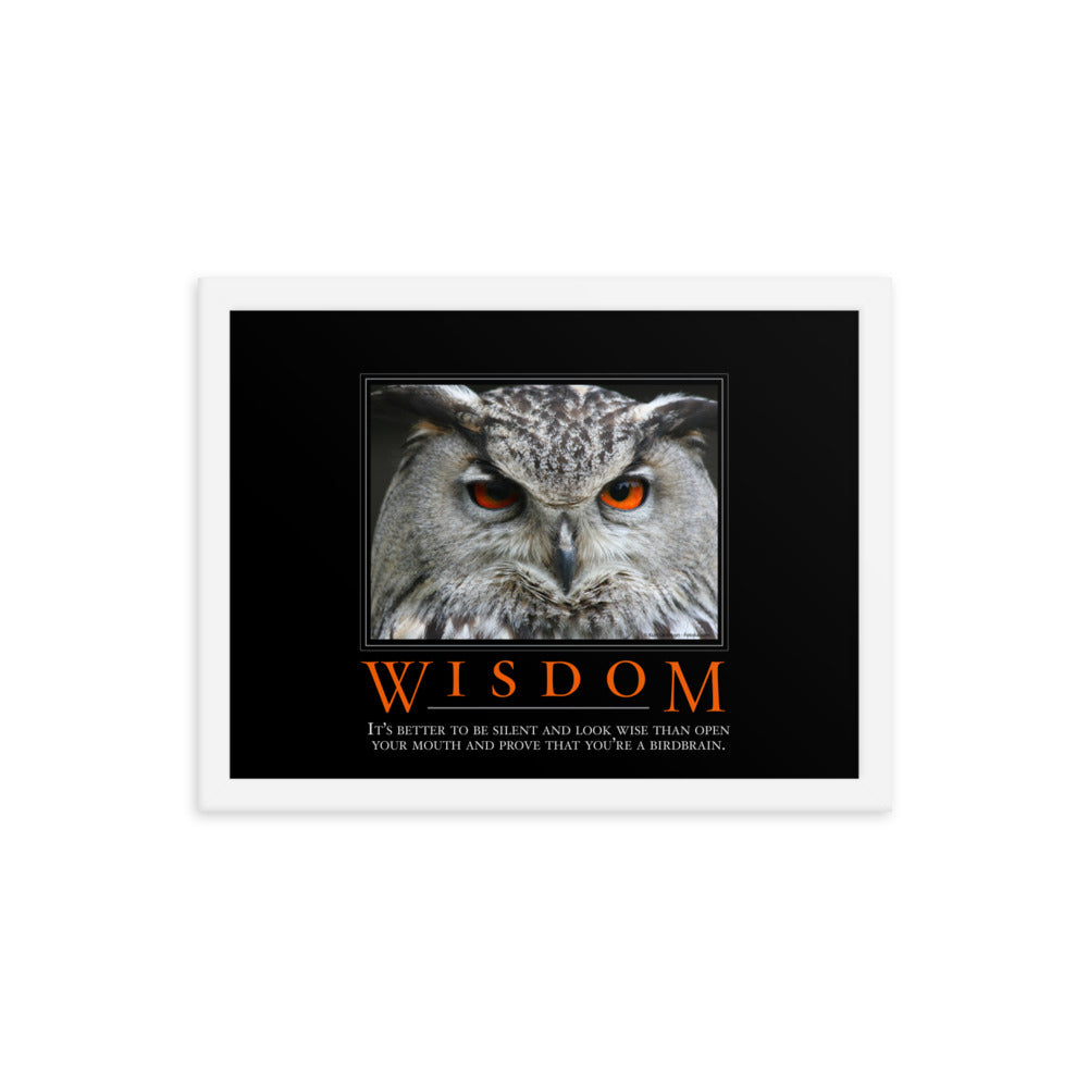 Wisdom Demotivational Framed Print