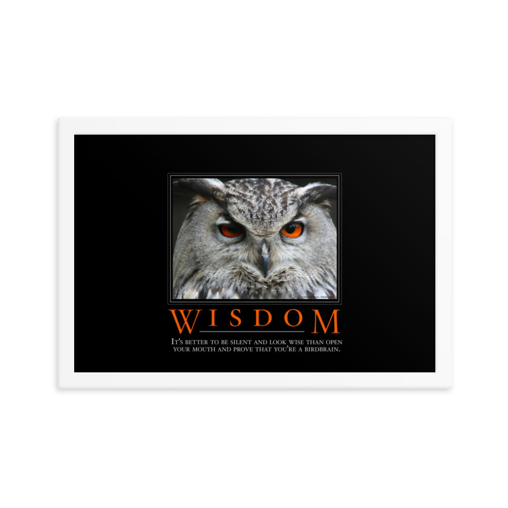 Wisdom Demotivational Framed Print
