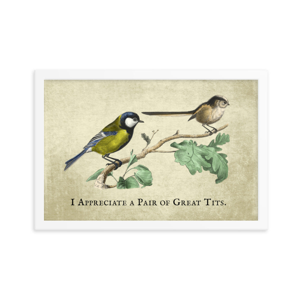 Great Pair of Tits Framed Print