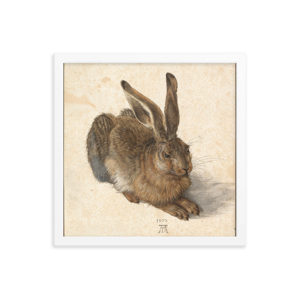 A Young Hare by Albrecht Durer Framed Print