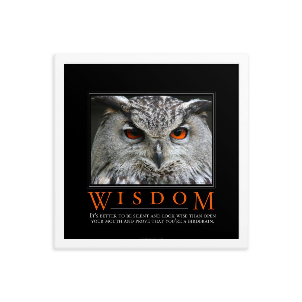 Wisdom Demotivational Framed Print