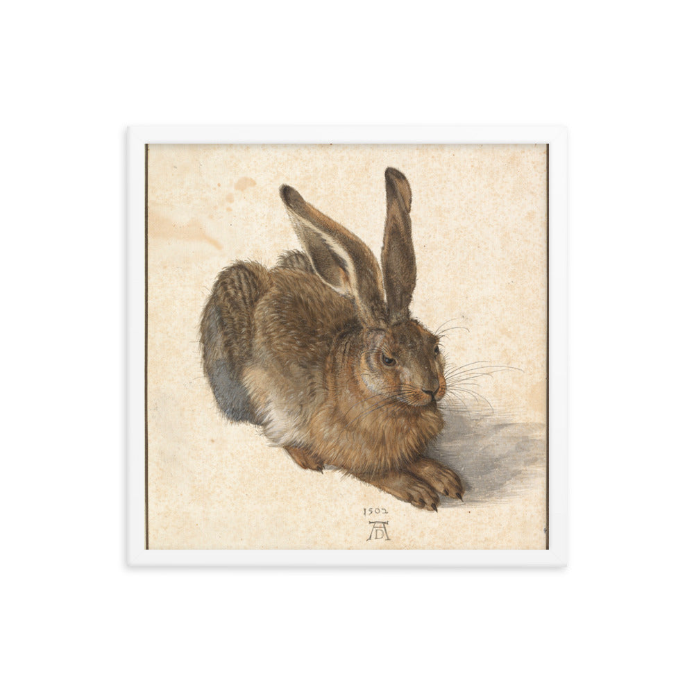 A Young Hare by Albrecht Durer Framed Print