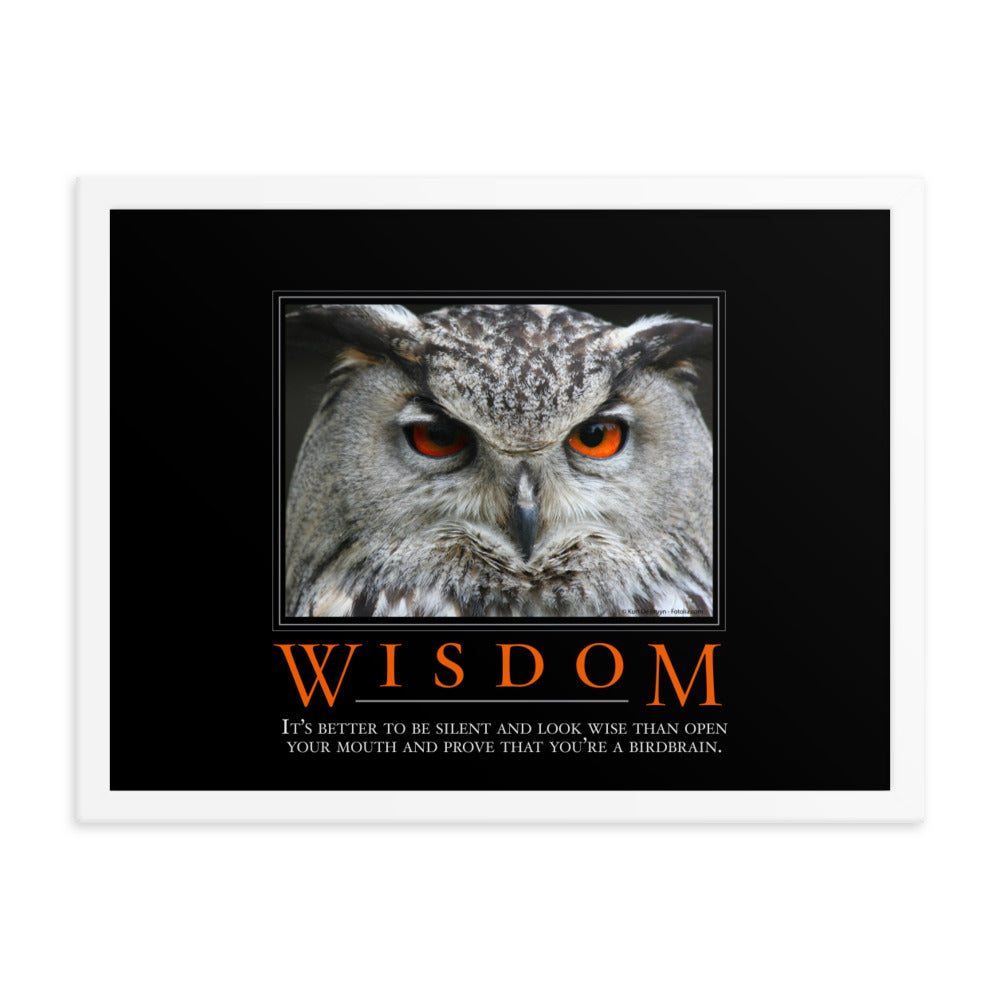 Wisdom Demotivational Framed Print
