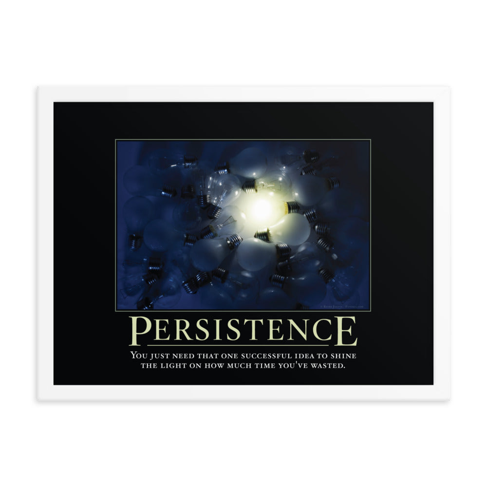 Persistence Demotivational Framed Print