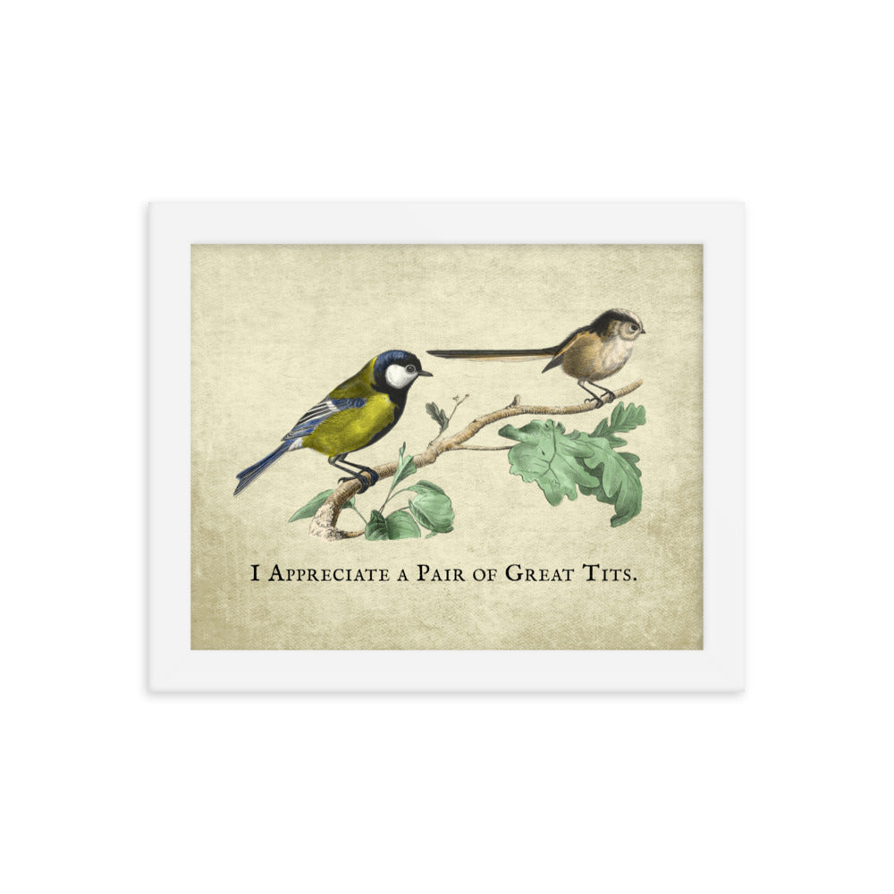 Great Pair of Tits Framed Print