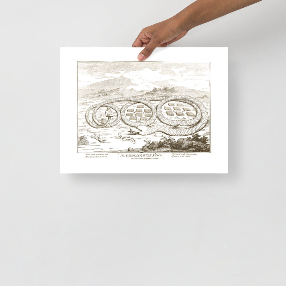 The American Rattle Snake Poster Giclée Print