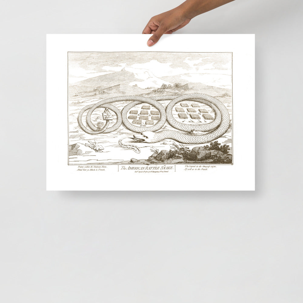 The American Rattle Snake Poster Giclée Print