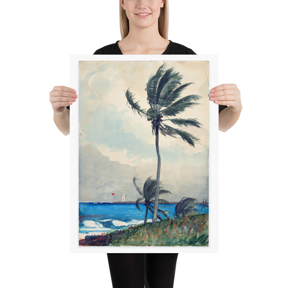 Palm Tree in Nassau Winslow Homer Art Print