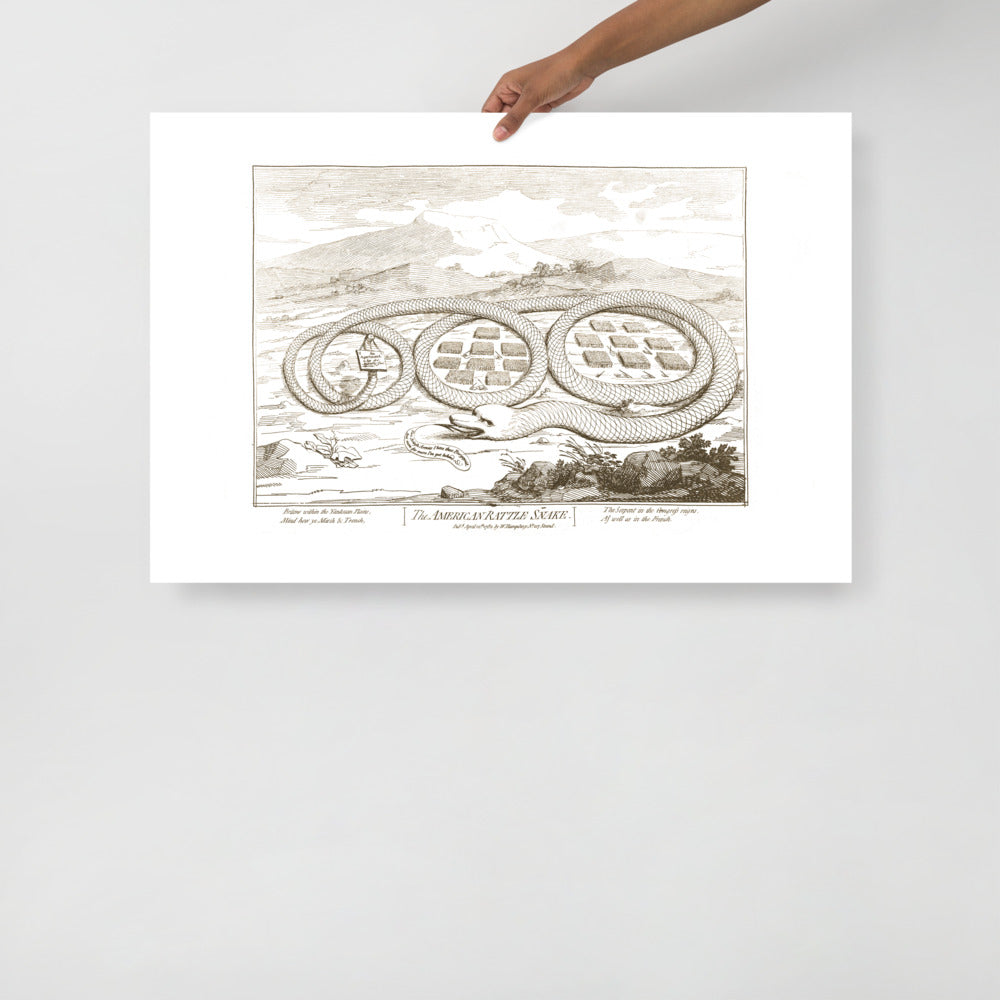 The American Rattle Snake Poster Giclée Print
