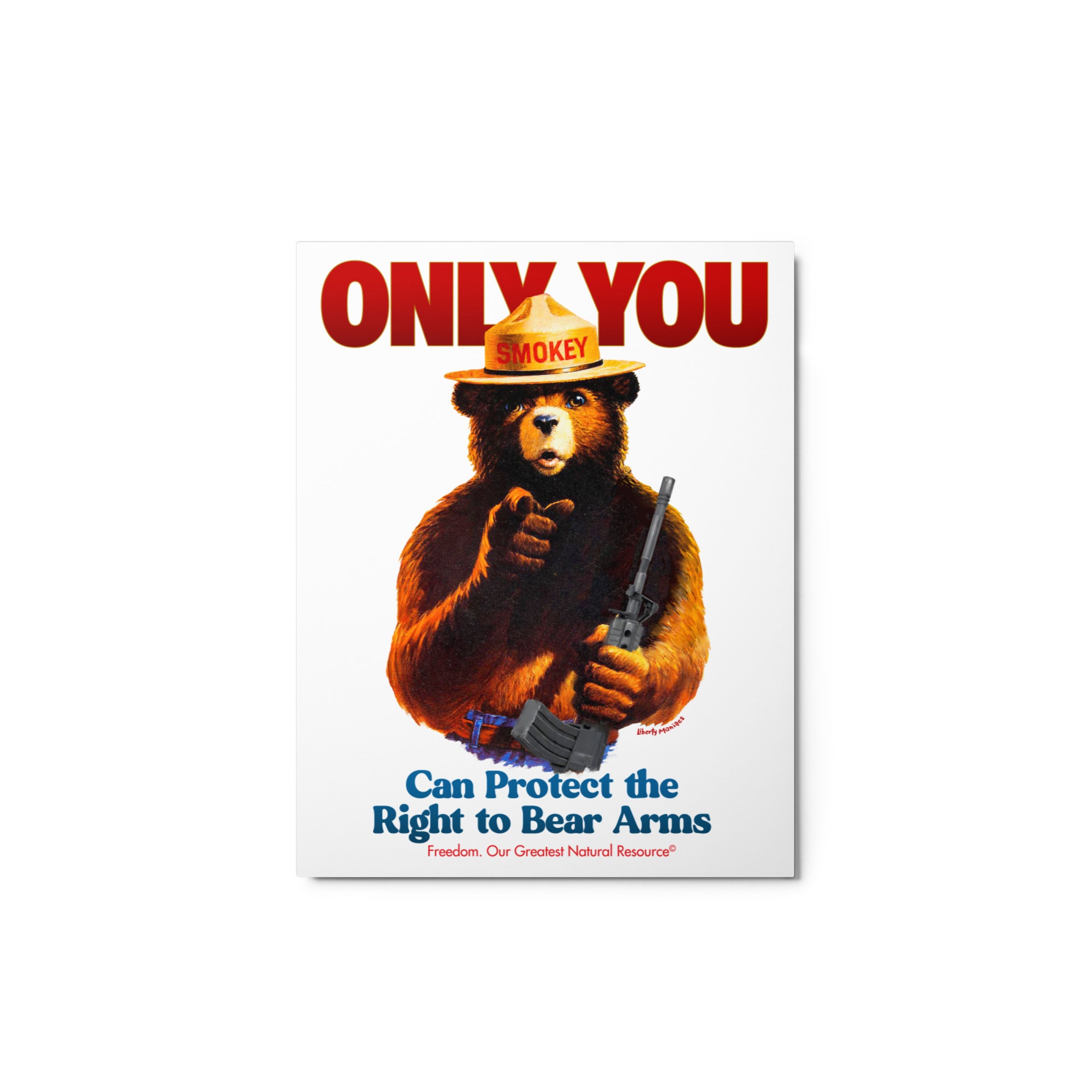 Only You Can Protect the Right to Bear Arms Metal Prints