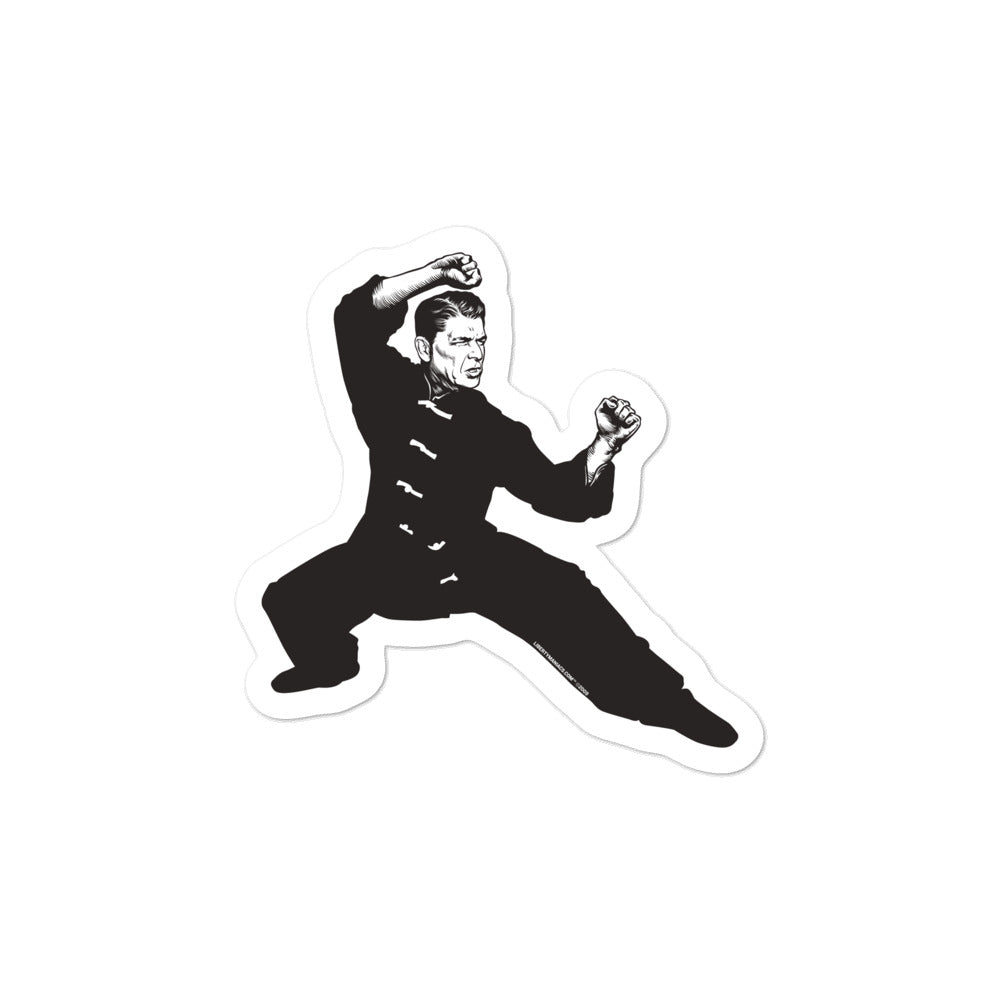 Ronald Reagan Kung Fu