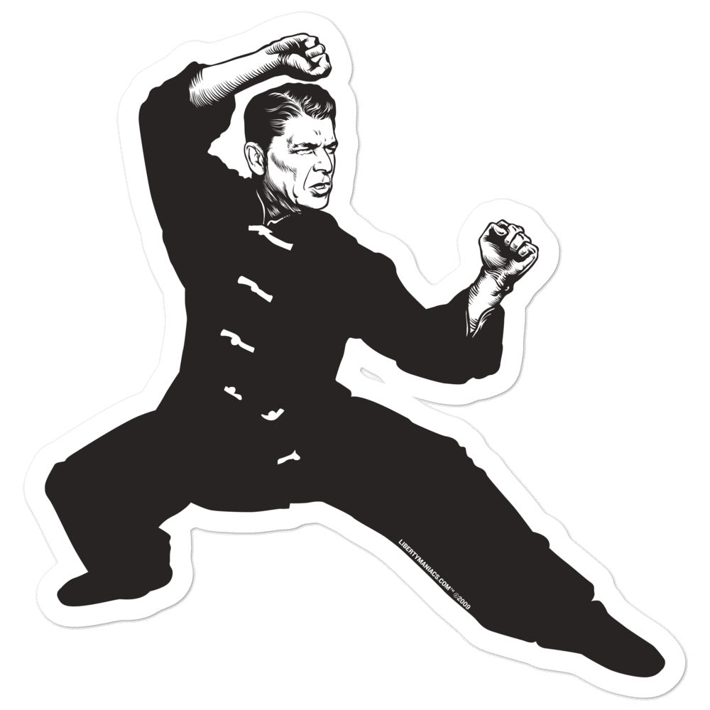 Ronald Reagan Kung Fu