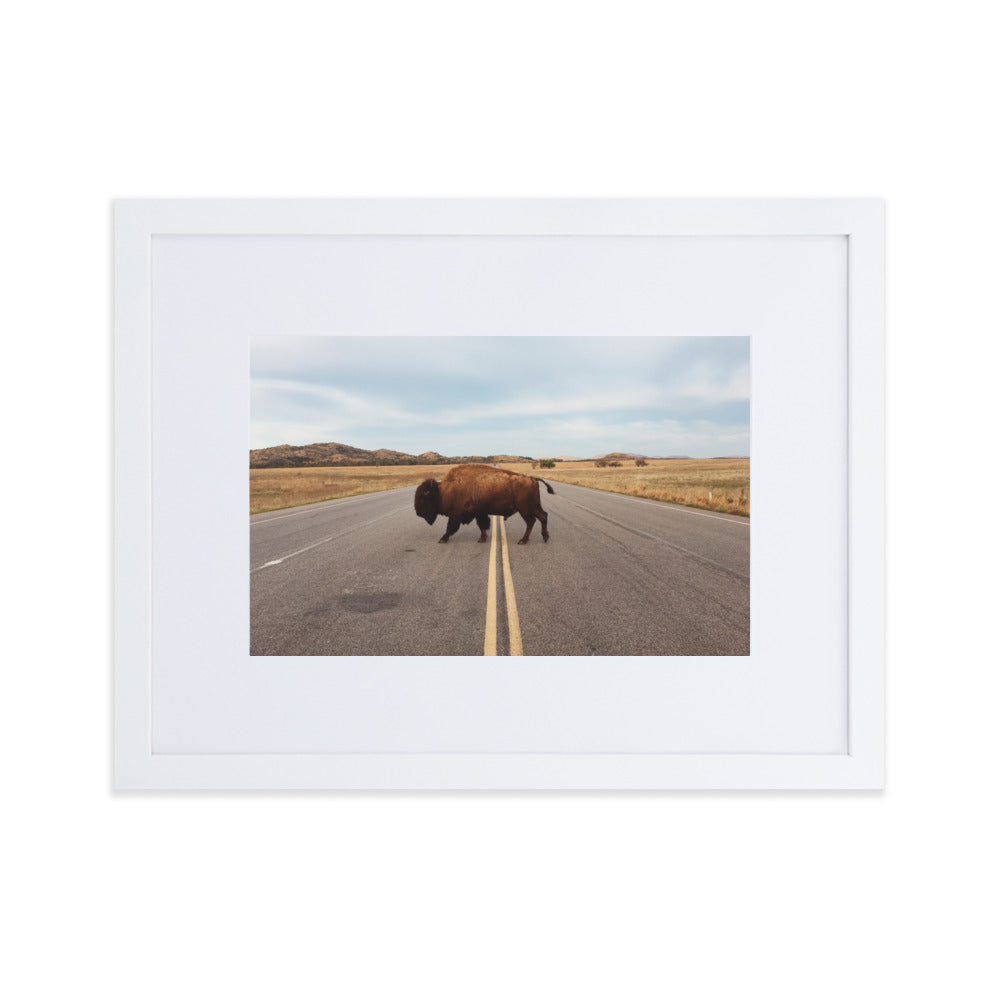 Bison Crossing Framed Art Print With Mat